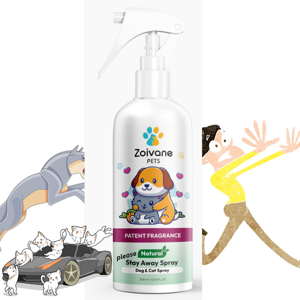 Stay off best sale spray for dogs