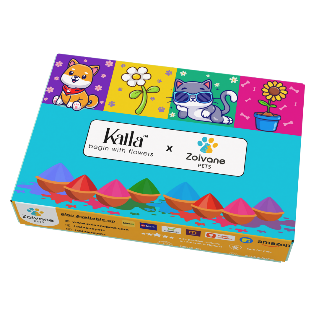 Zoivane Holi Box for Cat