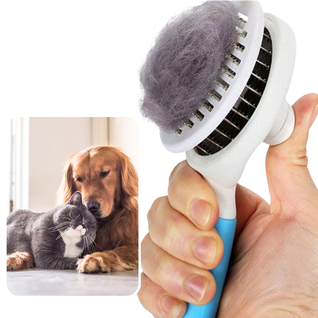 Hair Brush