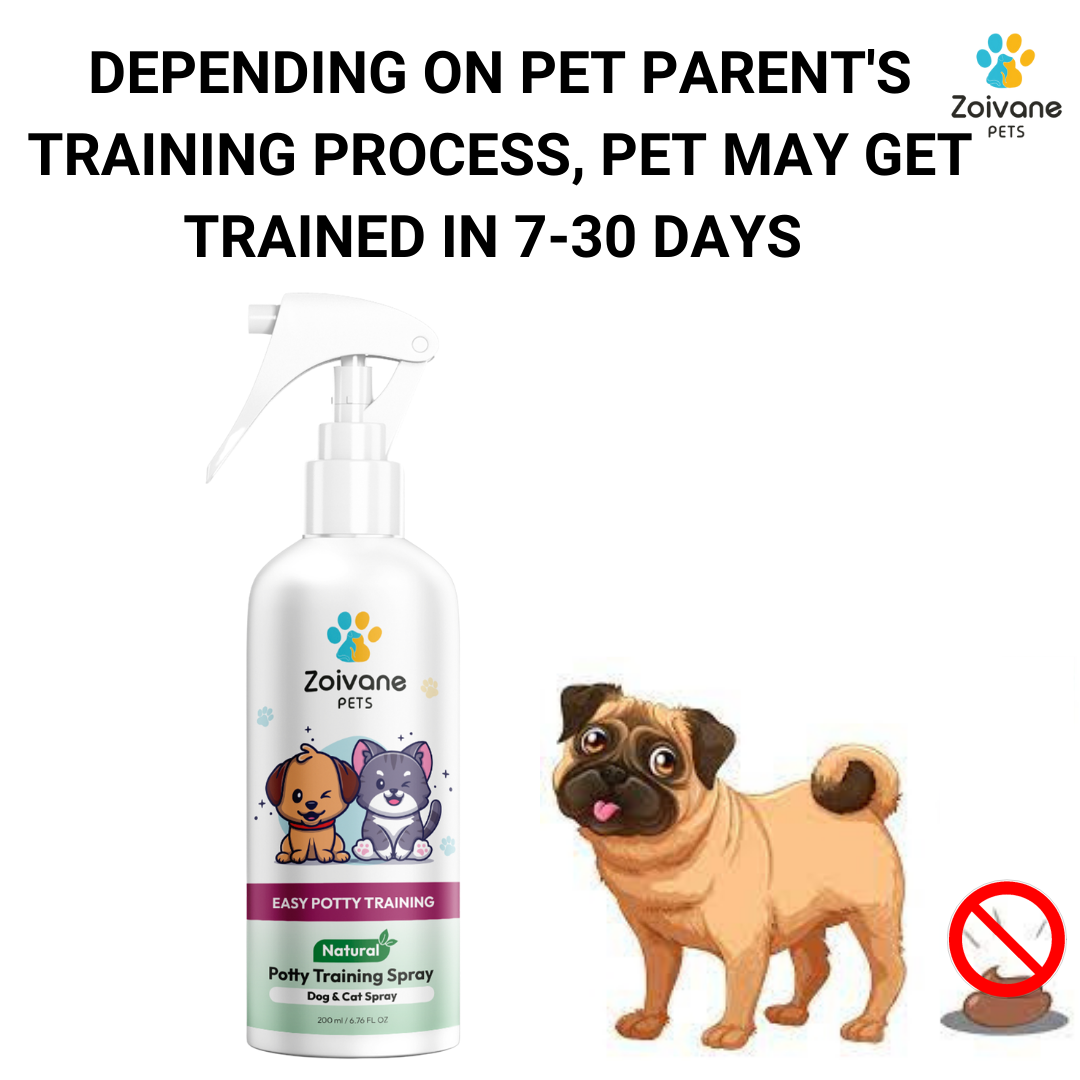 ZOIVANE Dog Potty Training Spray for Dogs, Cats, Puppy, Kitten 200ml | Indoor Use | No More Marking | Effective Training Aid for Puppies | Dogs & Cats Poop Spray| Training process may take upto 28-30 days to get potty/urine trained