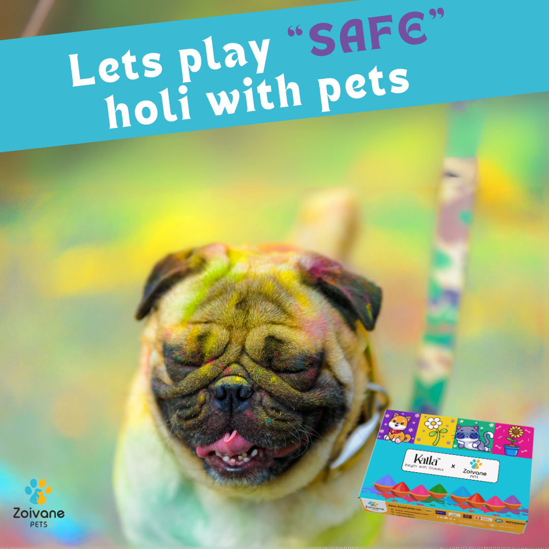 Zoivane Holi Box for Pet