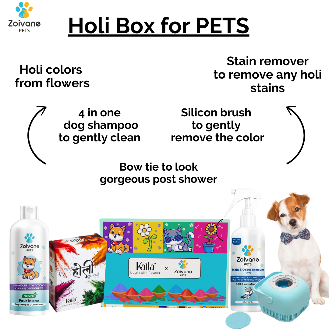 Zoivane Holi Box for Pet