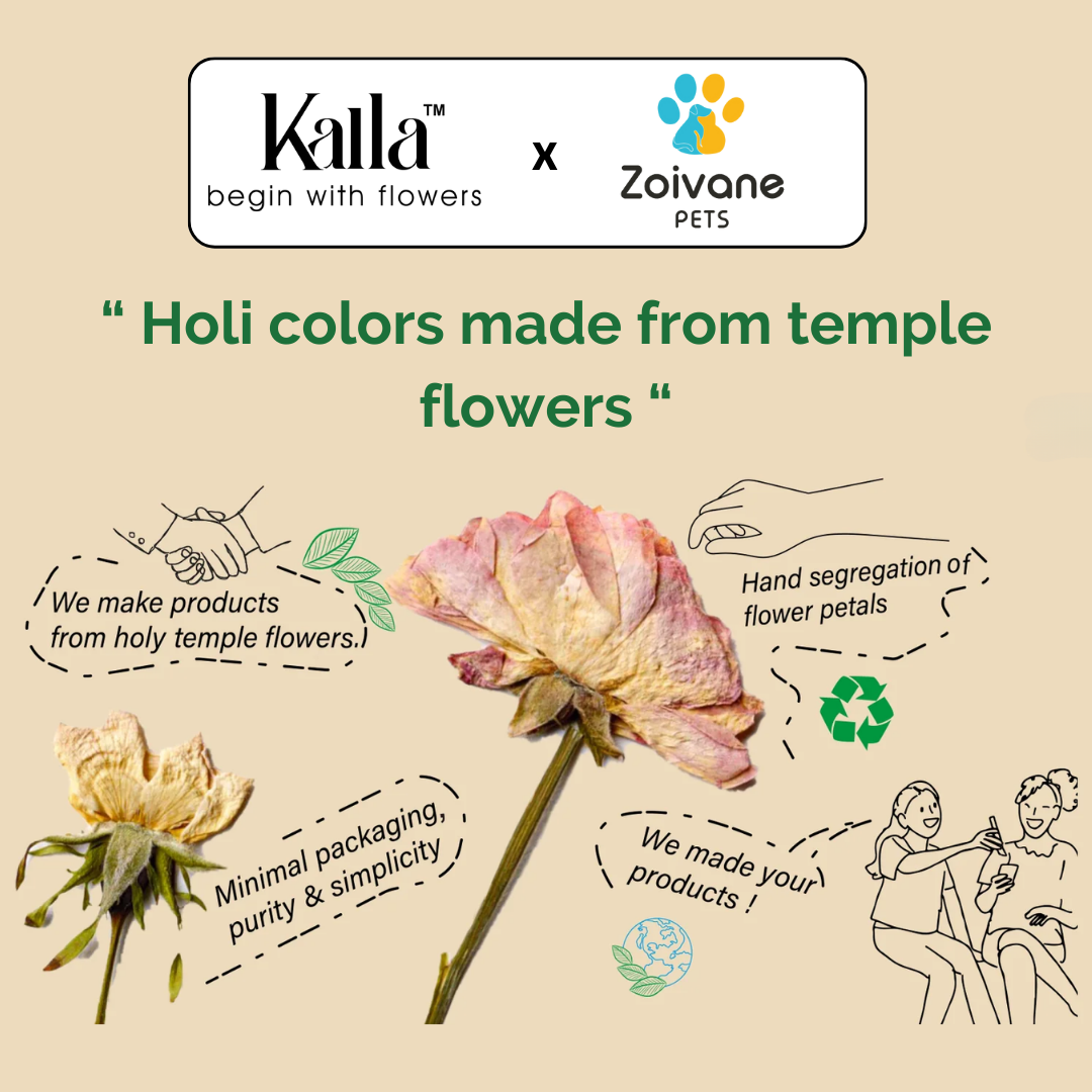 Zoivane Holi Box for Pet