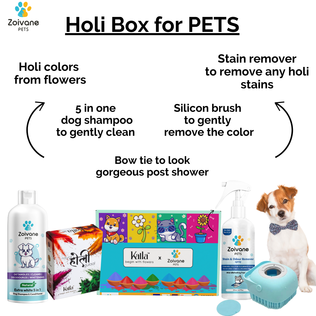 Zoivane Holi Box for Dog