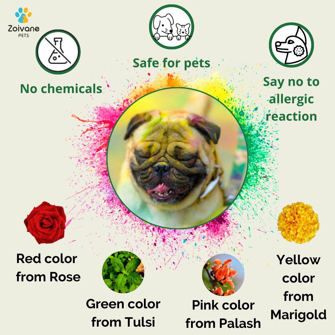 Zoivane Holi Box for Pet