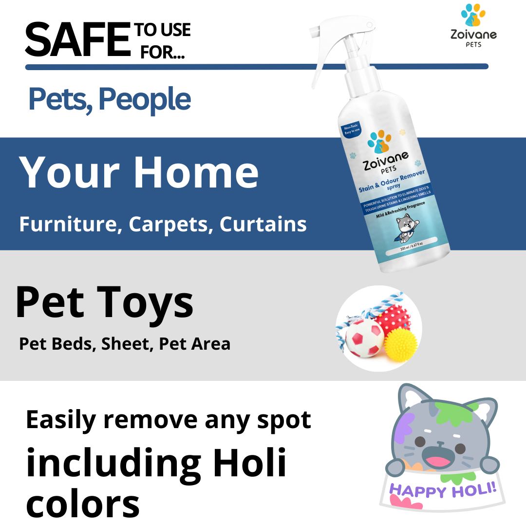 Zoivane Holi Box for Dog