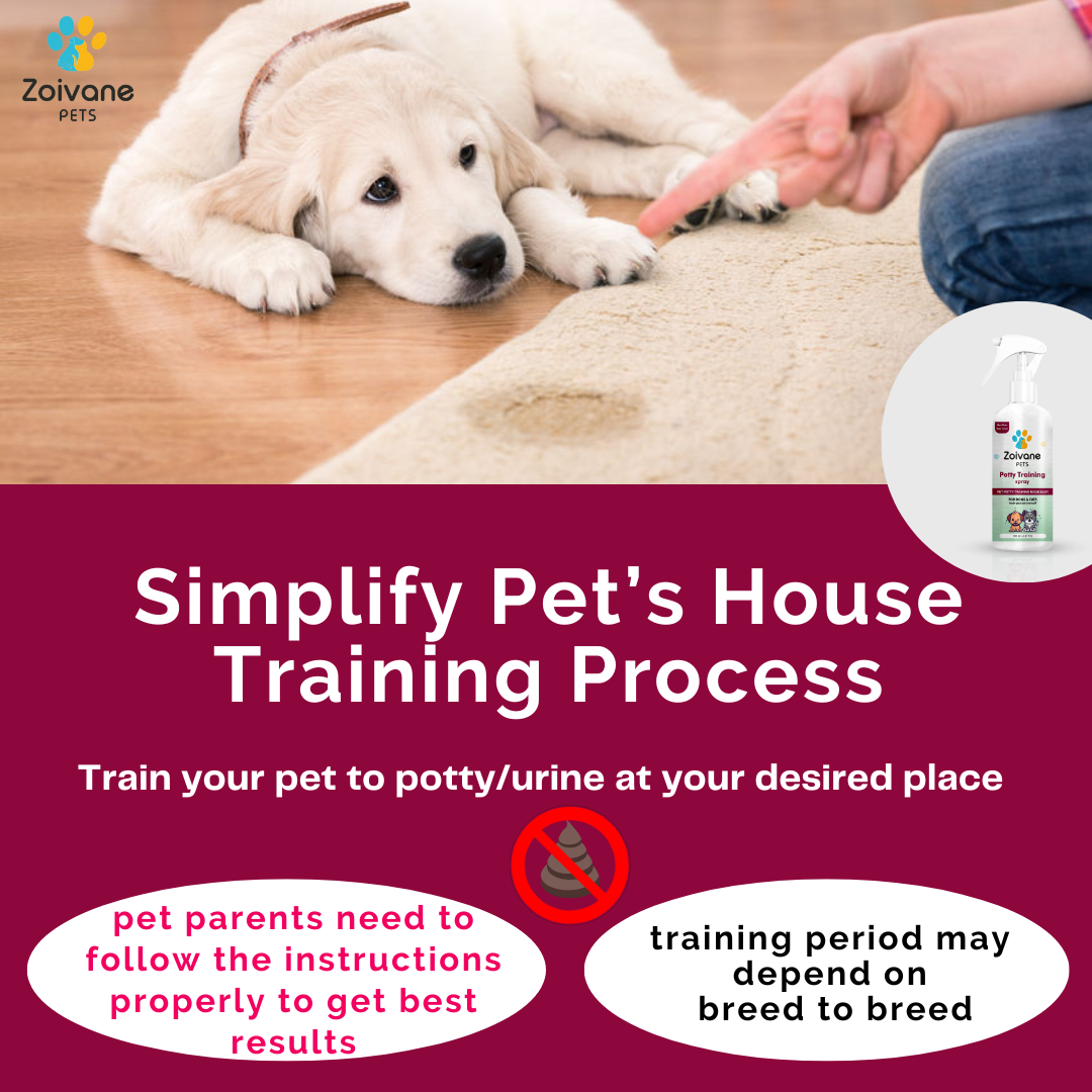 Potty Training Spray for Dogs & Cats 200ml