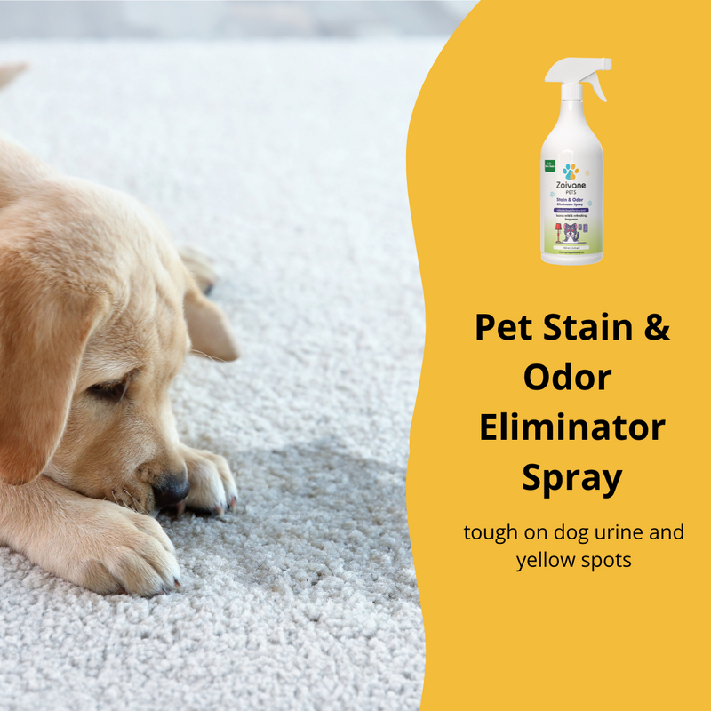 Zoivane Pets Stain and Odor Eliminator Spray - 1 Liter with Refreshing and Mild Fragrance - Breaks Pet Urine Smell Completely