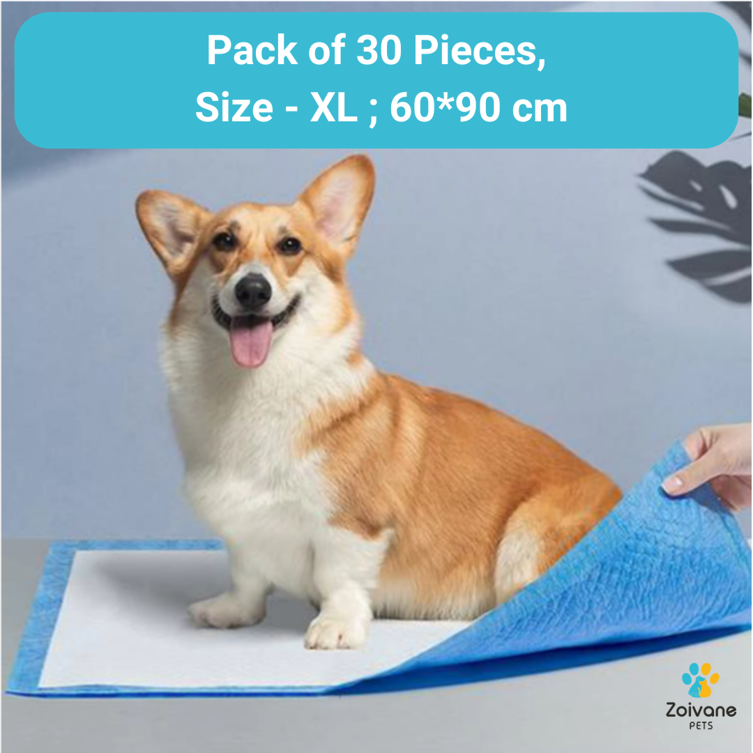 Training Pads for Dogs - 30 pieces (Pack of 1) | Pets Training Pads, Pee Pads for Dogs, Pee Mat for Dogs, Dog Toilet Mat, Puppy Training Pads, Dog Potty training Pads