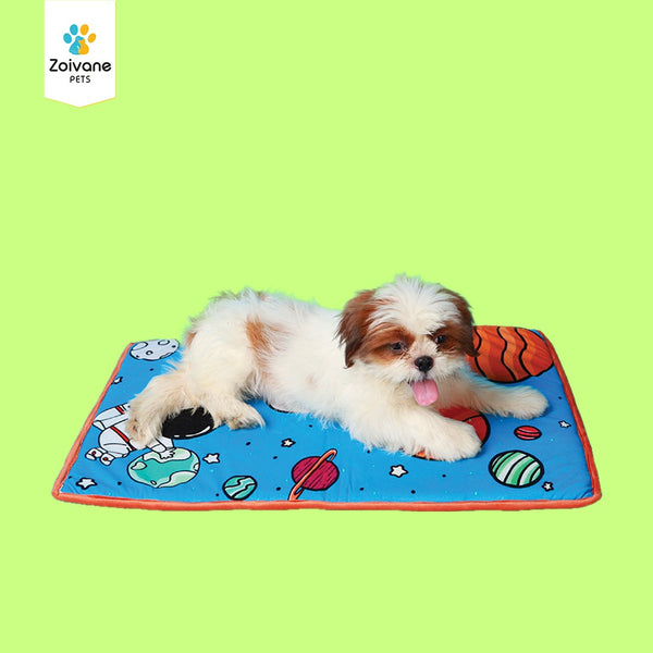 ZOIVANE PETS DOG MATS | Size M| Design May Vary