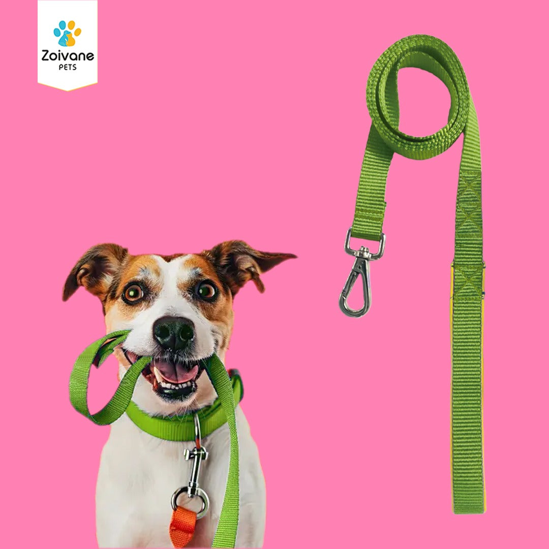 Nylon Leash for Dogs – Strong, Durable, and Ready for Adventure! - PACK OF 1 ( COLOUR MAY VARY)