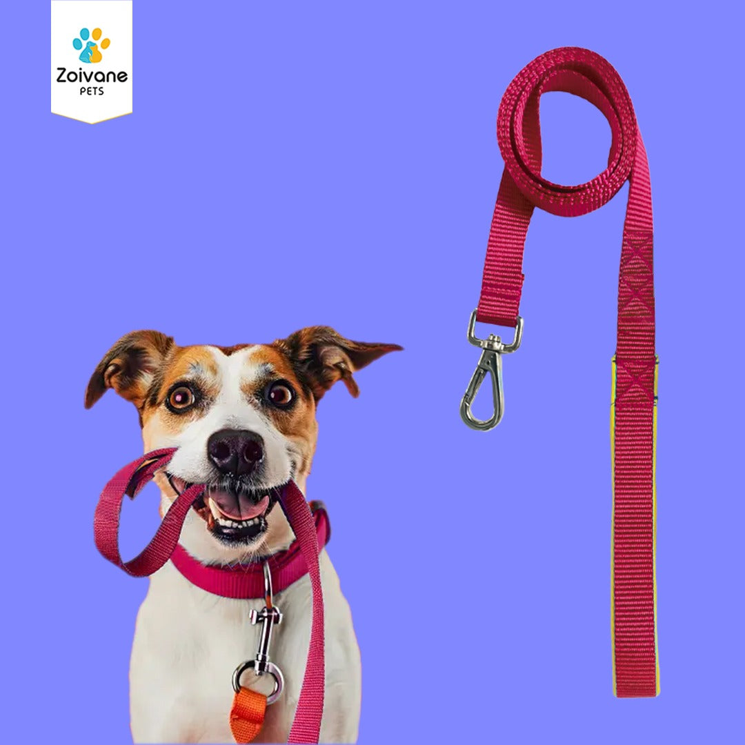 Zoivane Pets Nylon Leash for Dogs – Strong, Durable, and Ready for Adventure! - PACK OF 1 ( COLOUR MAY VARY)