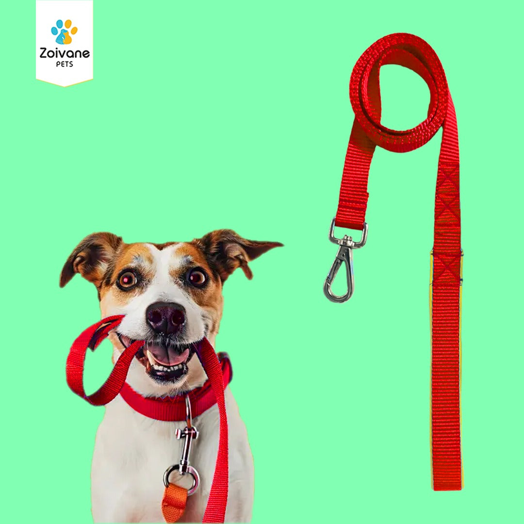 Nylon Leash for Dogs – Strong, Durable, and Ready for Adventure! - PACK OF 1 ( COLOUR MAY VARY)