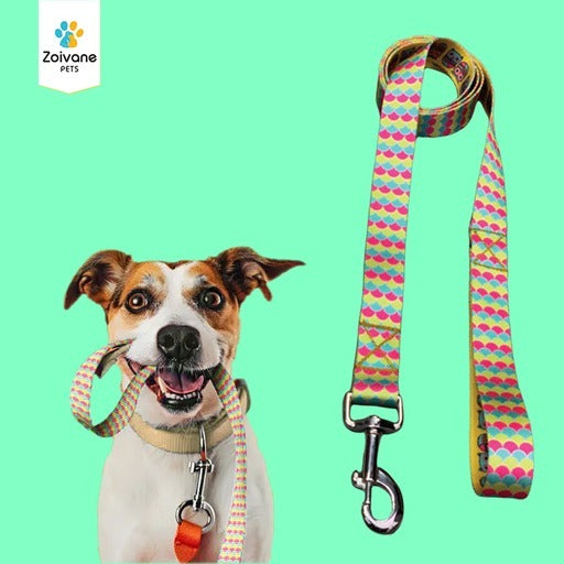 Zoivane Pets Printed Leash For Dogs – Walk in Style! {Patterns May Vary}