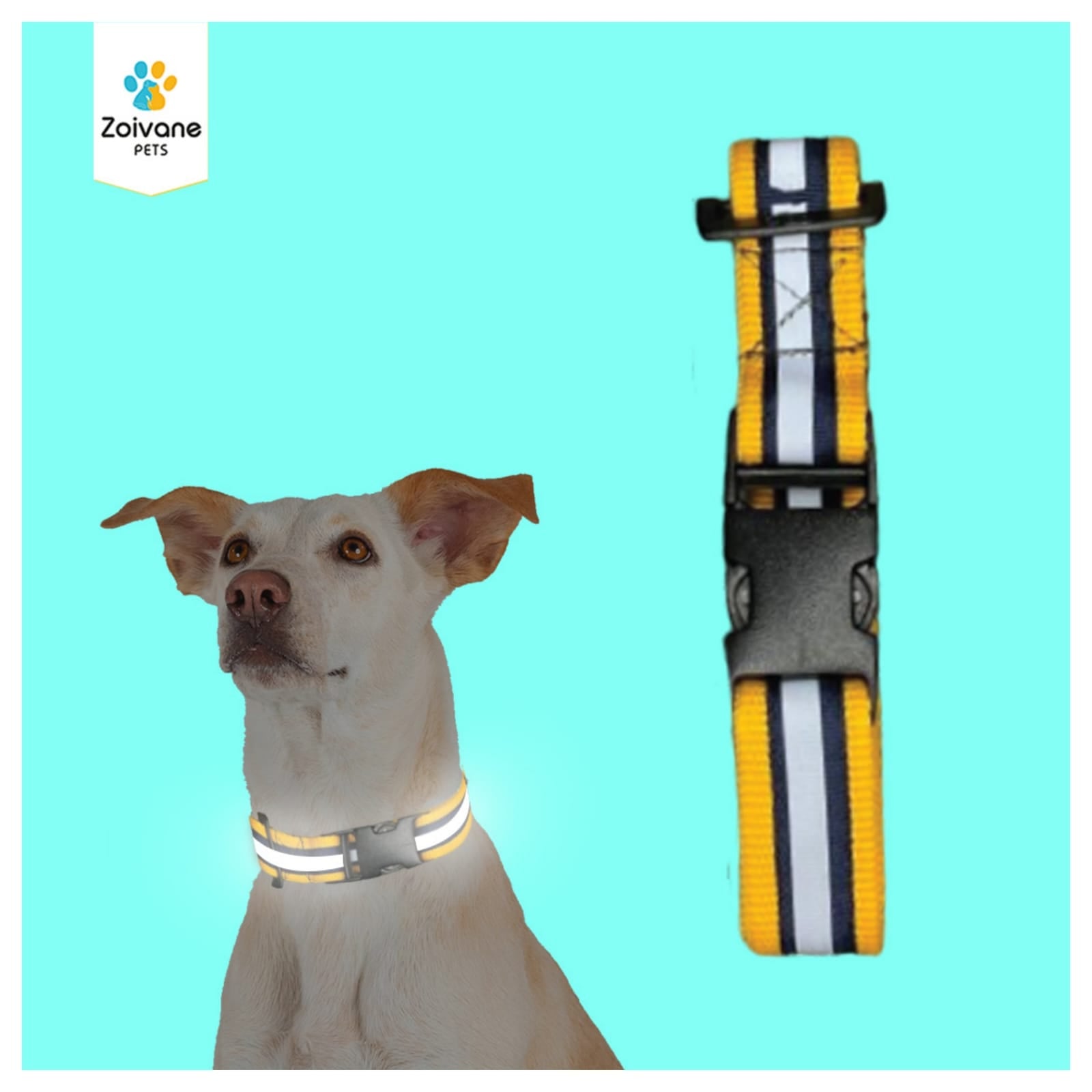 Zoivane Pets Nylon Padded Collar for Dogs | Size L| Strong, Comfy, and Built to Last! - Color may vary