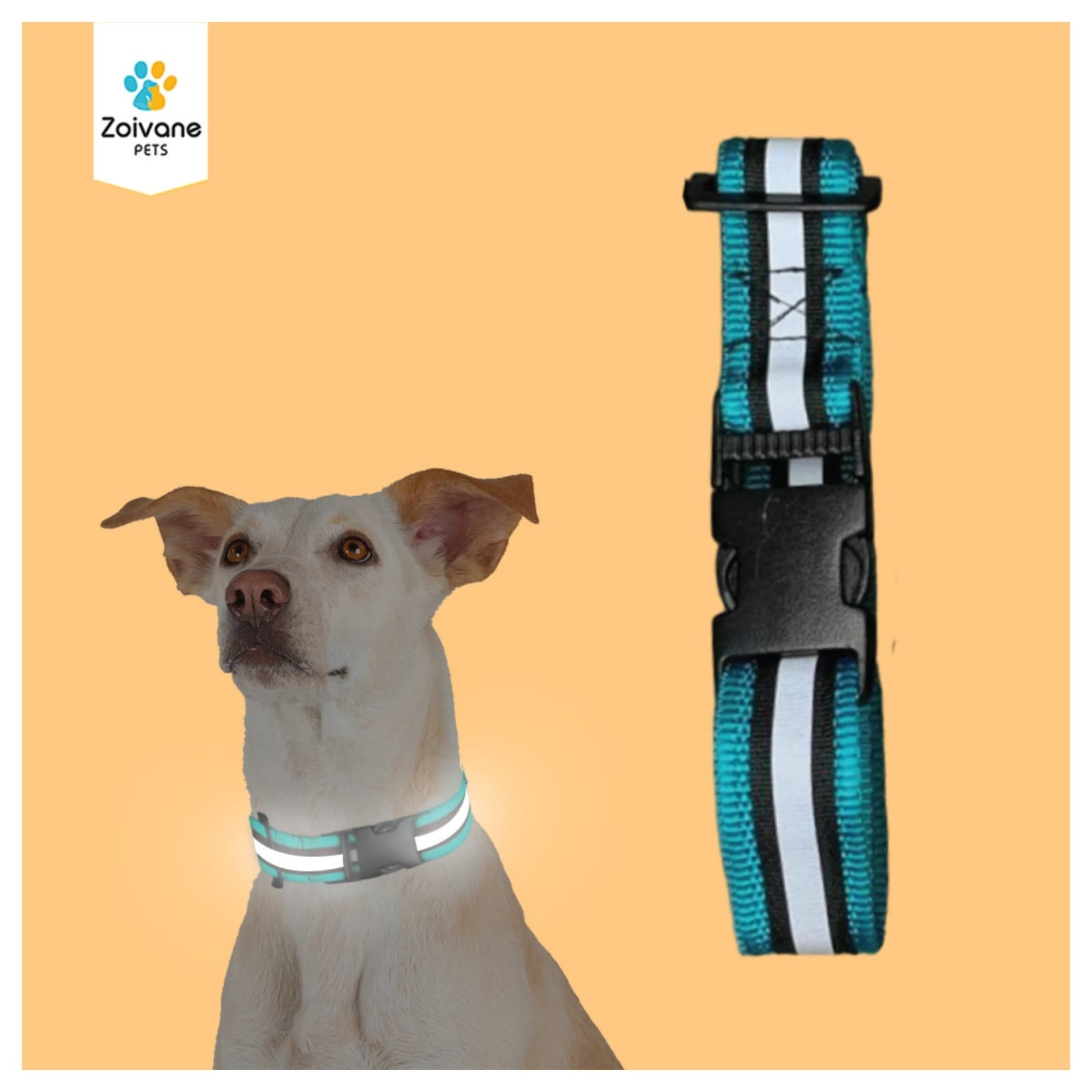 Zoivane Pets Nylon Padded Collar for Dogs | Size L| Strong, Comfy, and Built to Last! - Color may vary