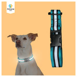 Zoivane Pets Printed Reflective Dog Collar – Style Meets Safety! |color may vary|