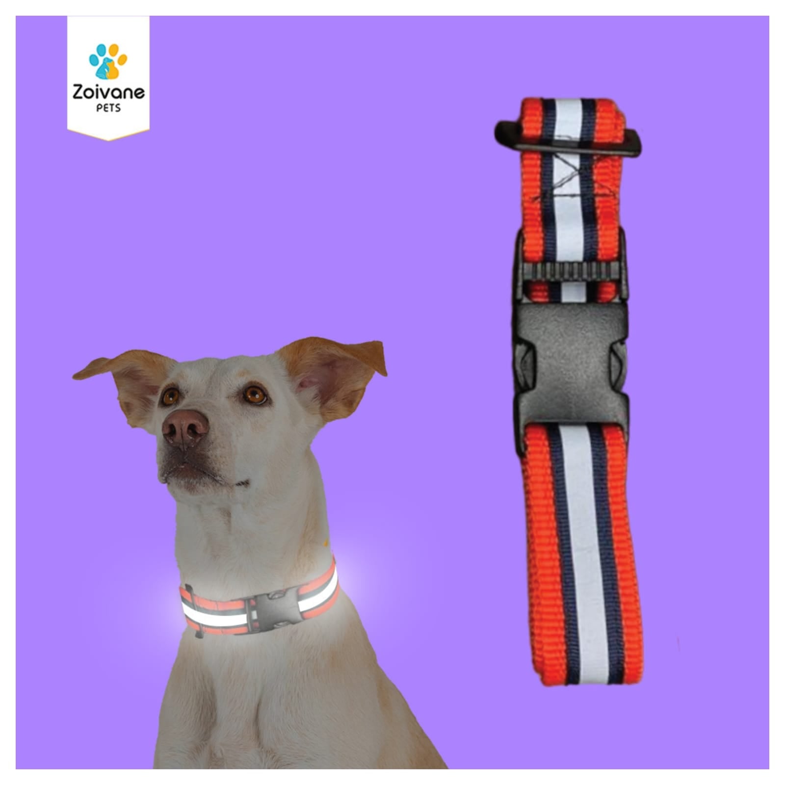 Zoivane Pets Printed Reflective Dog Collar – Style Meets Safety! |color may vary|