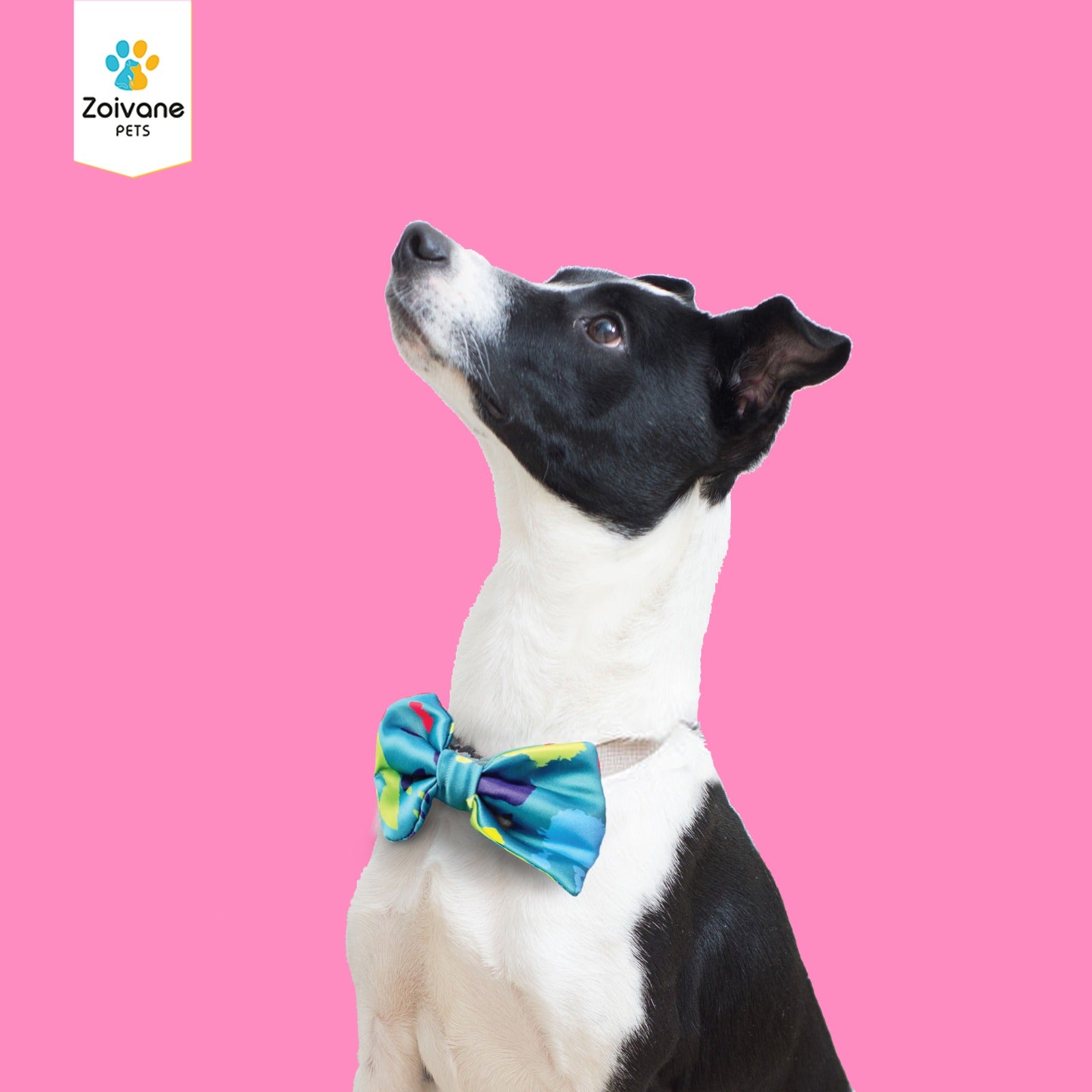 Zoivane Pets Stylish Bow Tie for Dogs (Size-Medium) - Comfortable, Adjustable, and Perfect for Every Occasion, (Color may Vary)