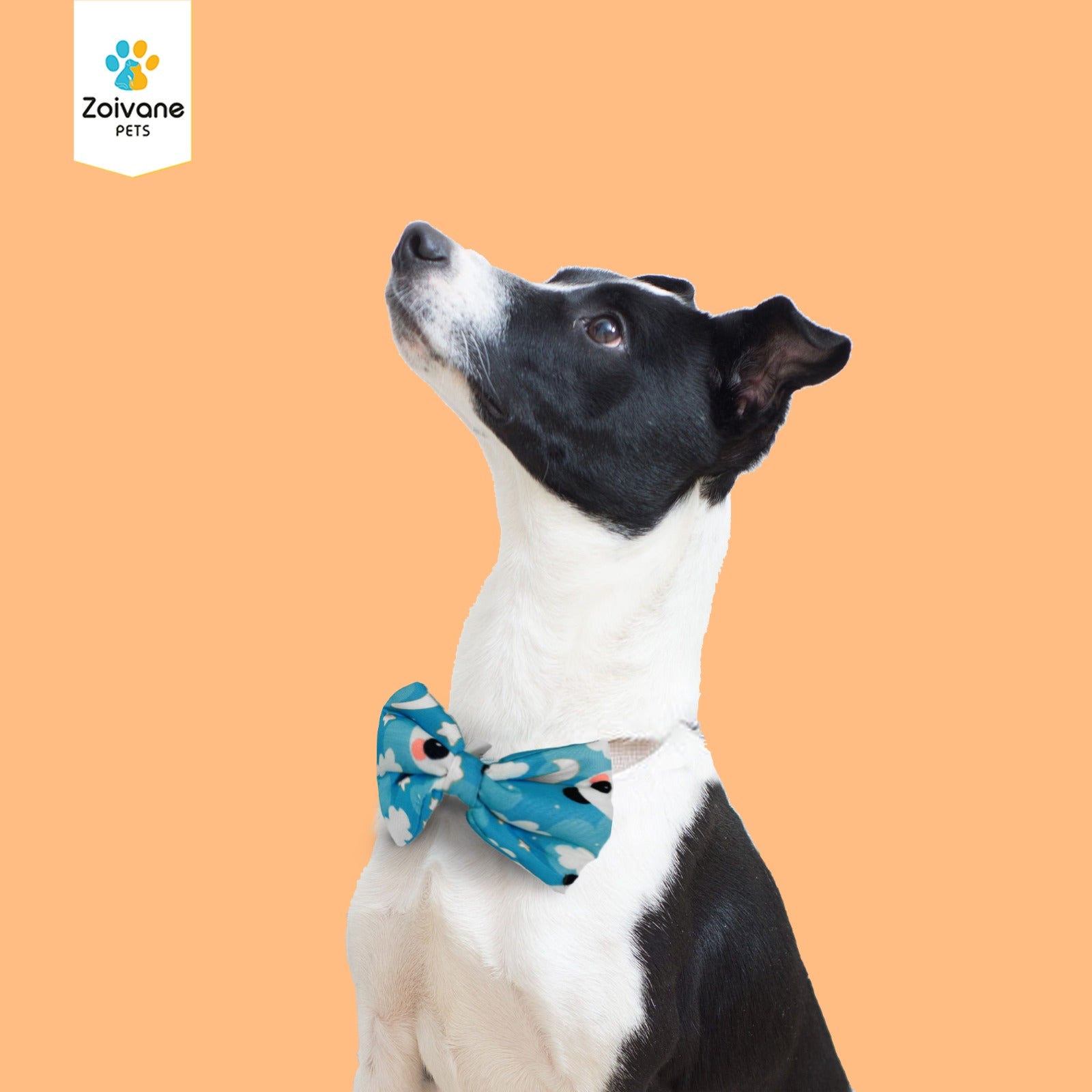 Zoivane Pets Stylish Bow Tie for Dogs (Size-Medium) - Comfortable, Adjustable, and Perfect for Every Occasion, (Color may Vary)