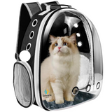 ZOIVANE Pet Carrier for Bag | Pack of 1 - Color May Vary