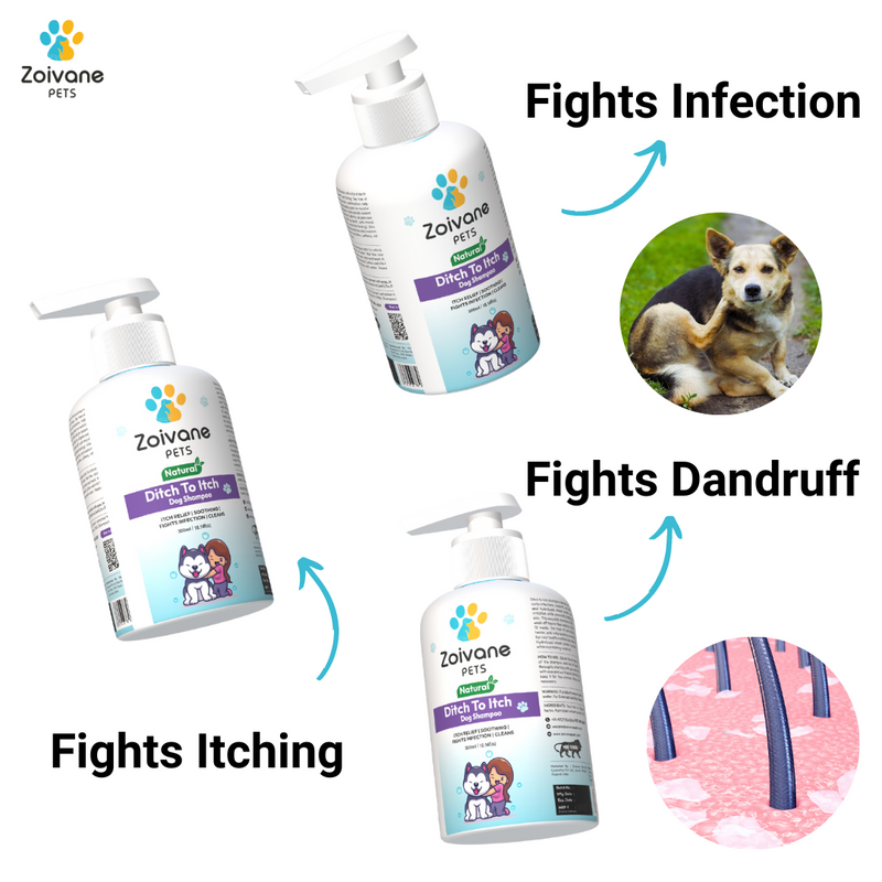 Zoivane Pets Ditch to Itch Dog Shampoo | Anti-Itch Formula for Sensitive Skin