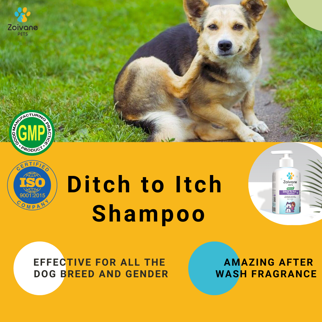 Zoivane Pets Ditch to Itch Dog Shampoo | Anti-Itch Formula for Sensitive Skin