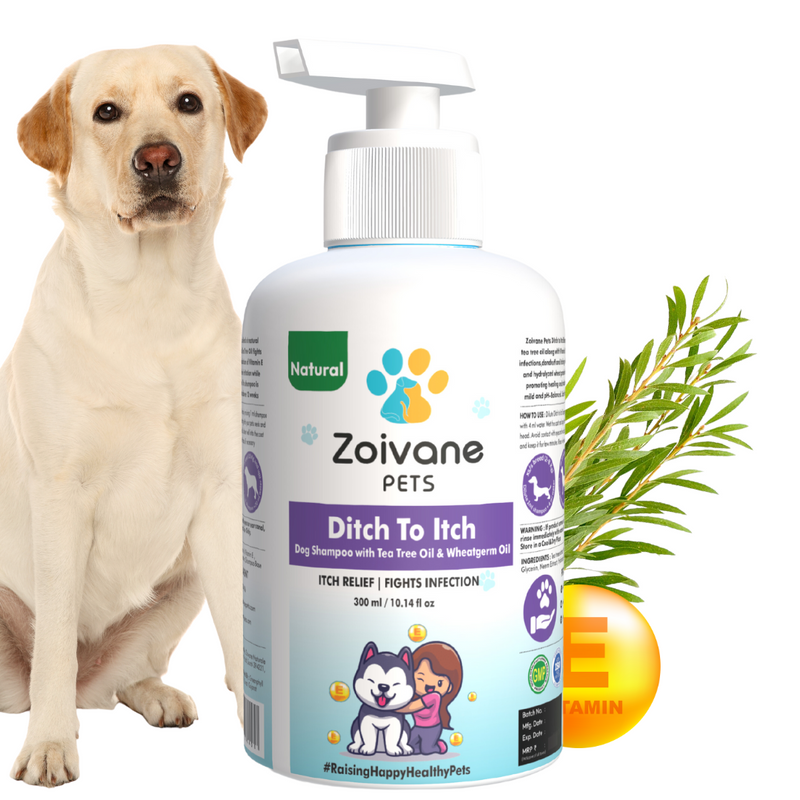 Get ride of seasonal itching with this shampoo Zoivane Pets