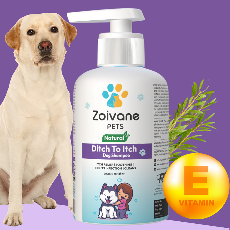 Zoivane Pets Ditch to Itch Dog Shampoo | Anti-Itch Formula for Sensitive Skin