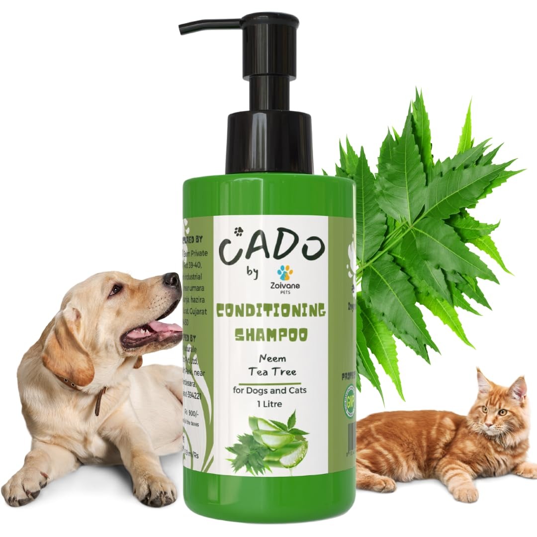 ZOIVANE Cado Neem Dog Shampoo - 1 L | Dog Anti Dandruff Shampoo | Dog Shampoo for Labrador, Shih Tzu, Golden Retriever, German Shepherd, Dogs Shampoo, Pet Shampoo for Dogs- Pack of 1