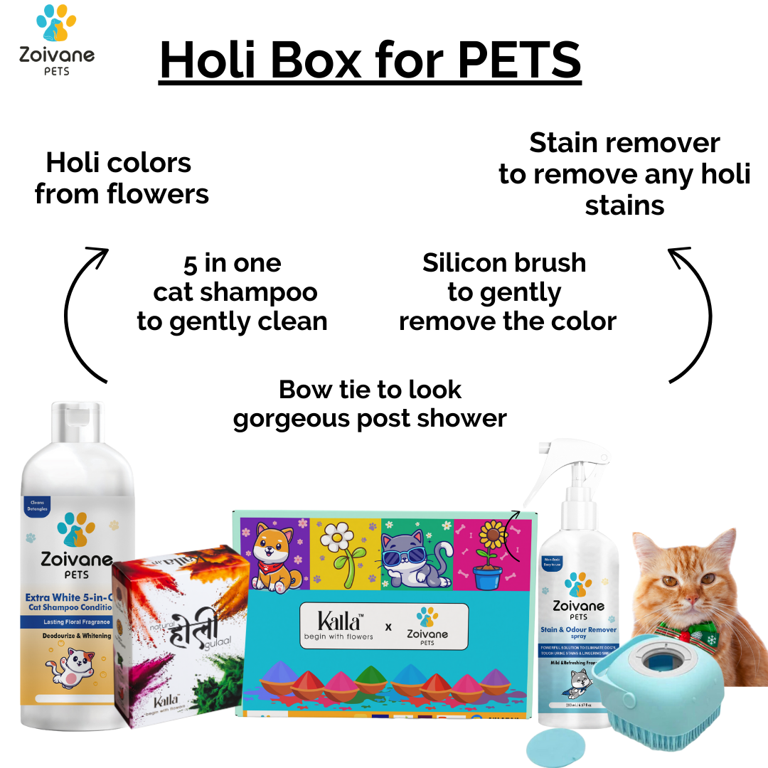 Zoivane Holi Box for Cat