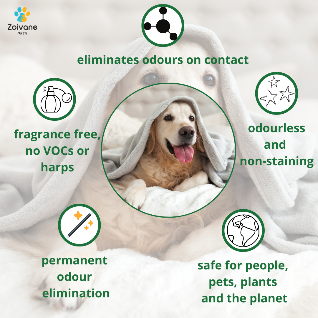 Zoivane pets Fragrance-Free Pet Odor Eliminator Spray - Effective, Non-Toxic, and Safe for All Surfaces