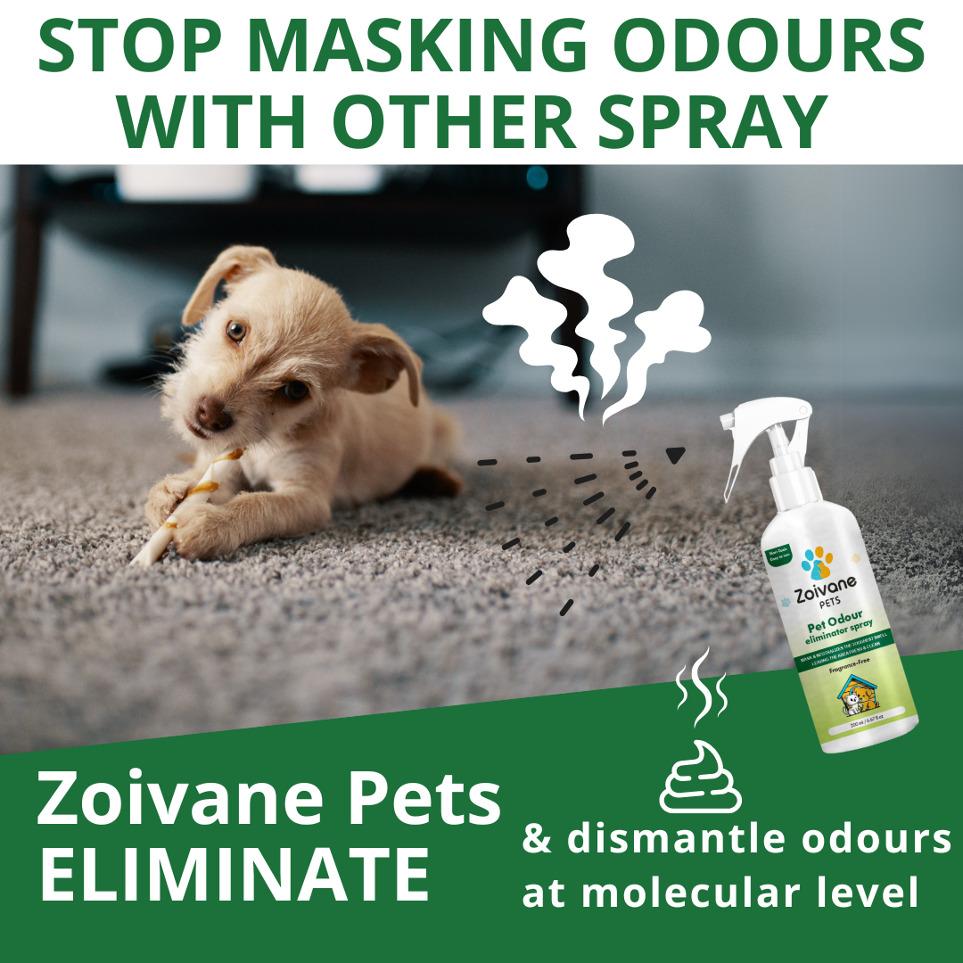 Zoivane pets Fragrance-Free Pet Odor Eliminator Spray - Effective, Non-Toxic, and Safe for All Surfaces