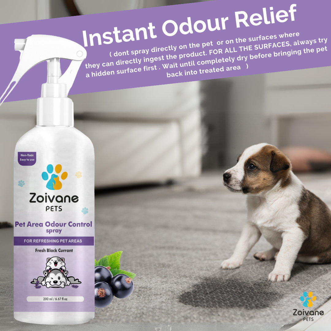 Zoivane Pet Odour Remover with Black Currant Fragrance - Effective, Non-Toxic, and Safe for All Surfaces - 200ml