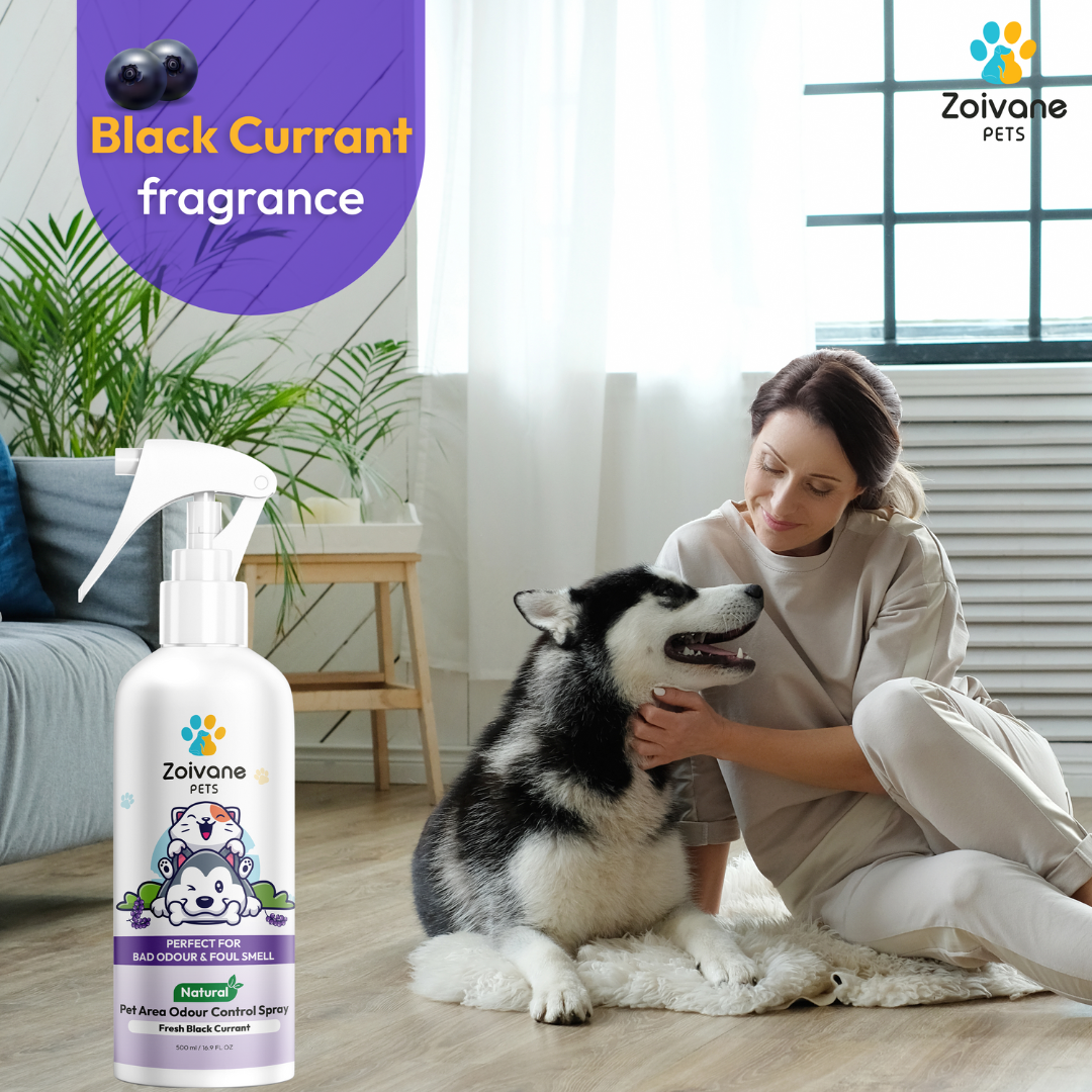 Zoivane Pet Odor Remover with Black Currant Fragrance - Effective, Non-Toxic, and Safe for All Surfaces - 200ml