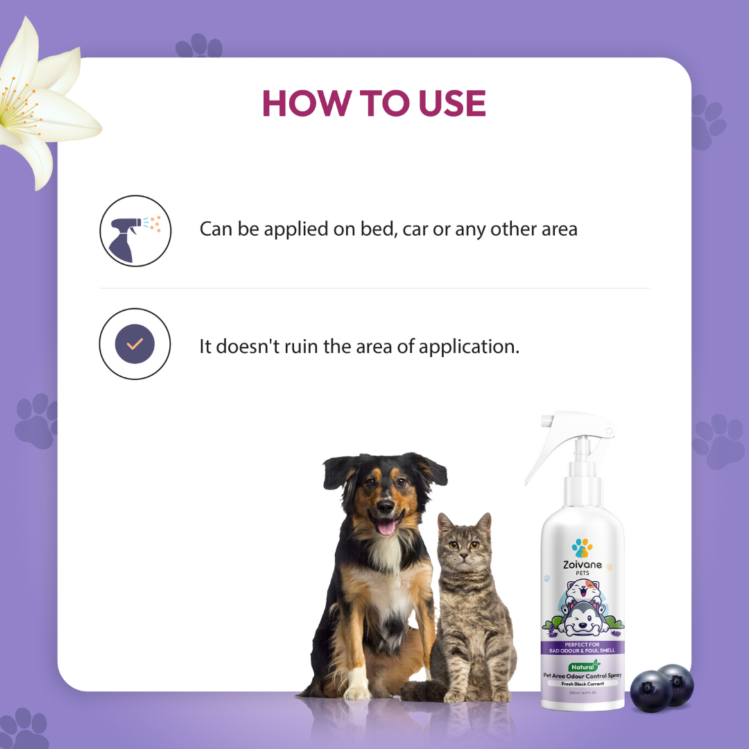 Zoivane Pet Odor Remover with Black Currant Fragrance - Effective, Non-Toxic, and Safe for All Surfaces - 200ml