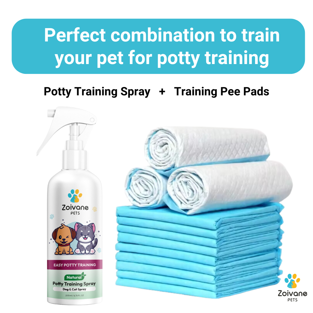 Training Pads for Dogs - 30 pieces (Pack of 1) | Pets Training Pads, Pee Pads for Dogs, Pee Mat for Dogs, Dog Toilet Mat, Puppy Training Pads, Dog Potty training Pads