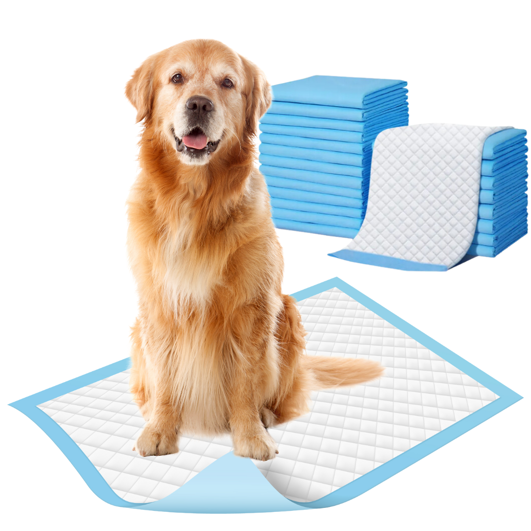 10pcs Training Pads + Potty Training Spray for Dogs + Toys