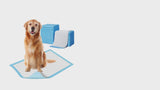 ZOIVANE Training Pads for Dogs - Pack of 60 | Pets Training Pads, Pee Pads for Dogs, Pee Mat for Dogs, Dog Toilet Mat, Puppy Training Pads, Dog Potty training Pads