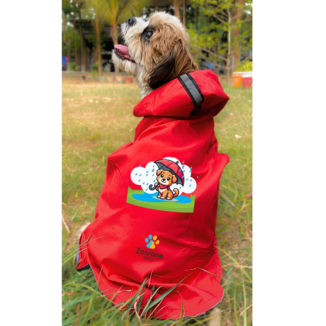 Dog Raincoat S "Dogs just wanna have fun!" printed raincoat for puppies, labrador, golden retriever, shihtzu, german shepherd & similar pack of 1.