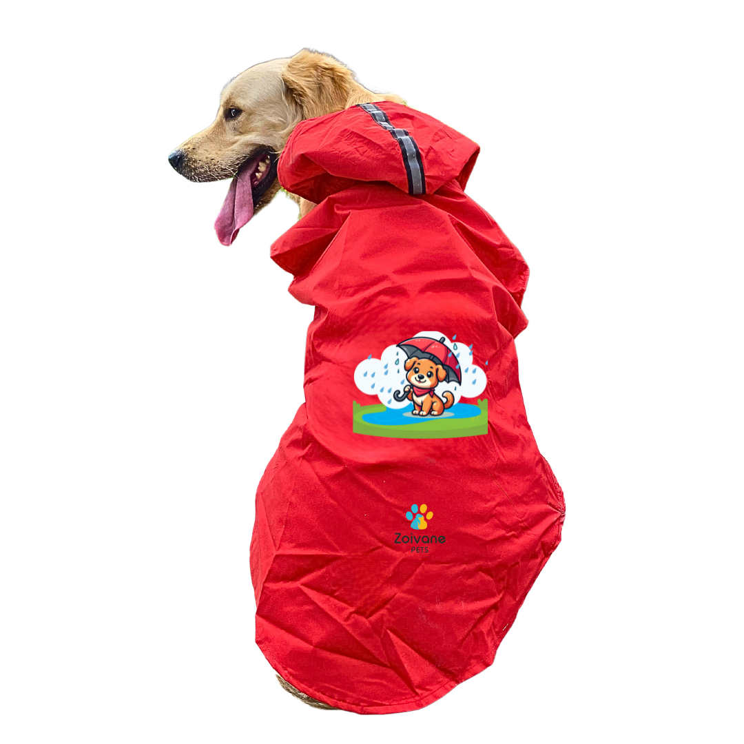 Dog Raincoat XL "Dogs Just Wanna Have Fun!" Printed Raincoat For Dogs, Labrador, Golden Retriever, Shihtzu, German Shepherd & Similar (Pack of 1)