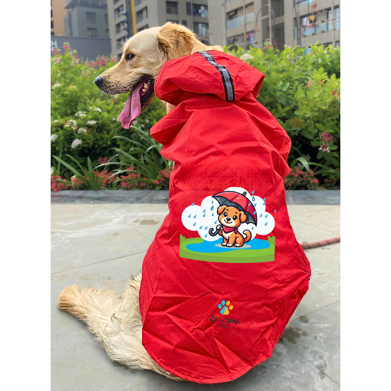 Dog Raincoat XL "Dogs Just Wanna Have Fun!" Printed Raincoat For Dogs, Labrador, Golden Retriever, Shihtzu, German Shepherd & Similar (Pack of 1)