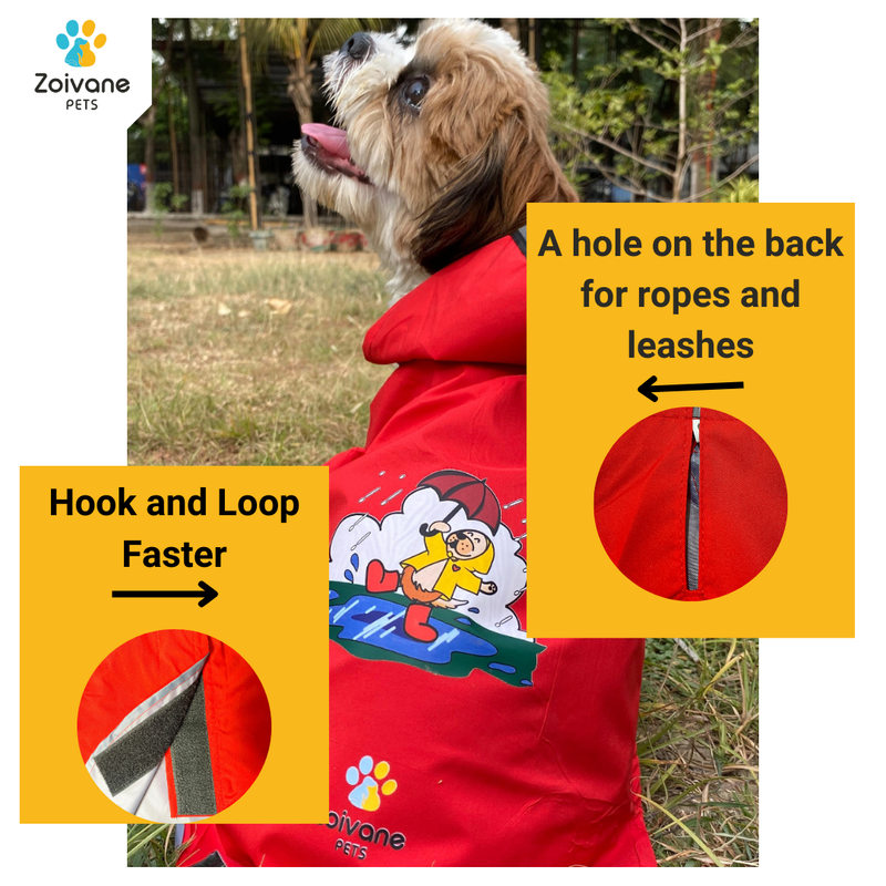 Aigumi puppy raincoat best sale