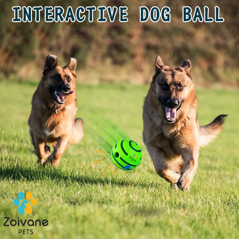 Zoivane Pets Interactive Green Ball For Dogs