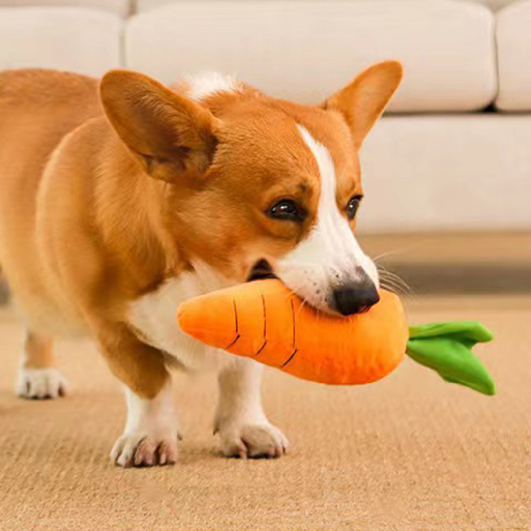 Zoivane Pets Plush Carrot Toy, pack of -1 , (For your pet's playtime)  (Color and design may vary)