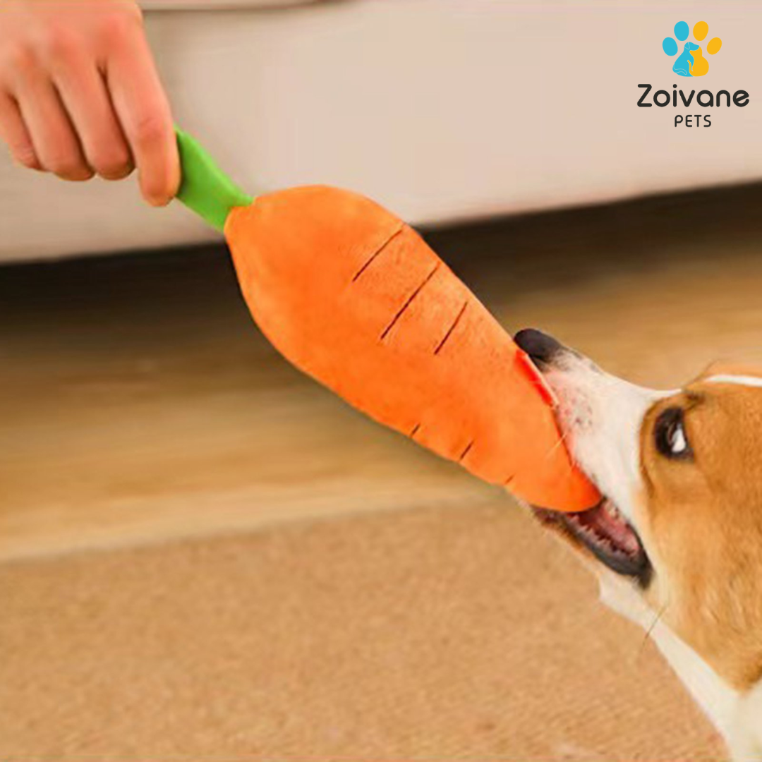 Zoivane Pets Plush Carrot Toy, pack of -1 , (For your pet's playtime)  (Color and design may vary)