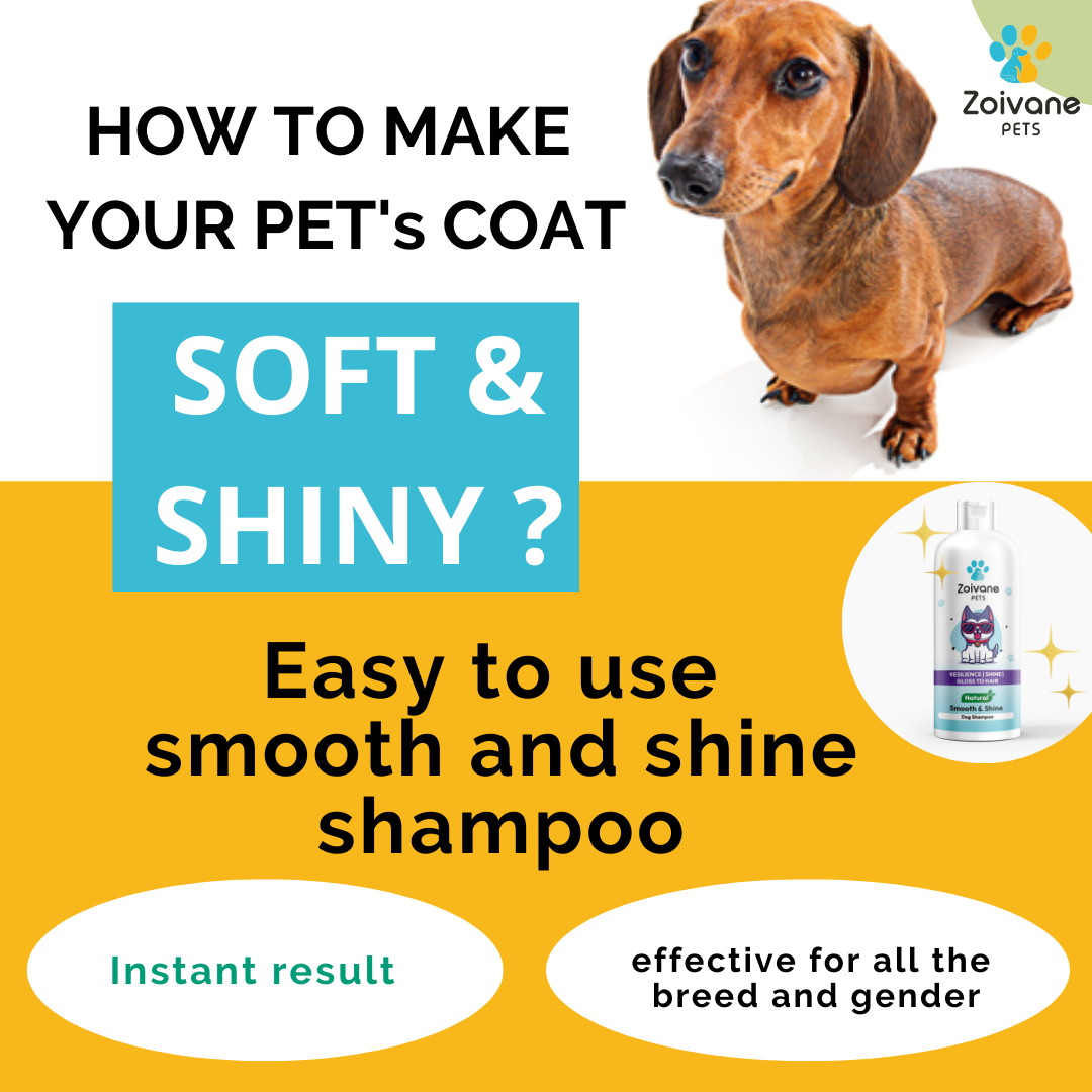 Smooth and Shine Shampoo for dogs