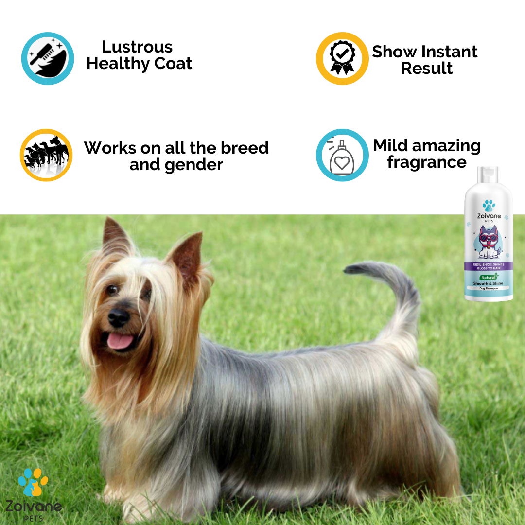 Smooth and Shine Shampoo for dogs