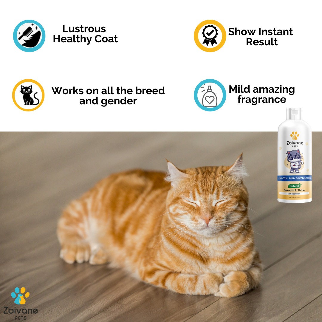 SMOOTH AND SHINE CAT SHAMPOO