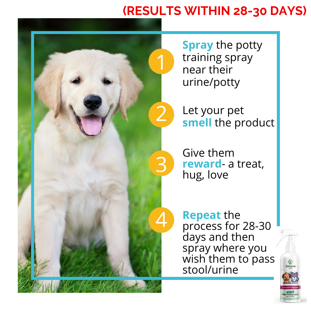 Potty Training Spray for Dogs & Cats 200ml